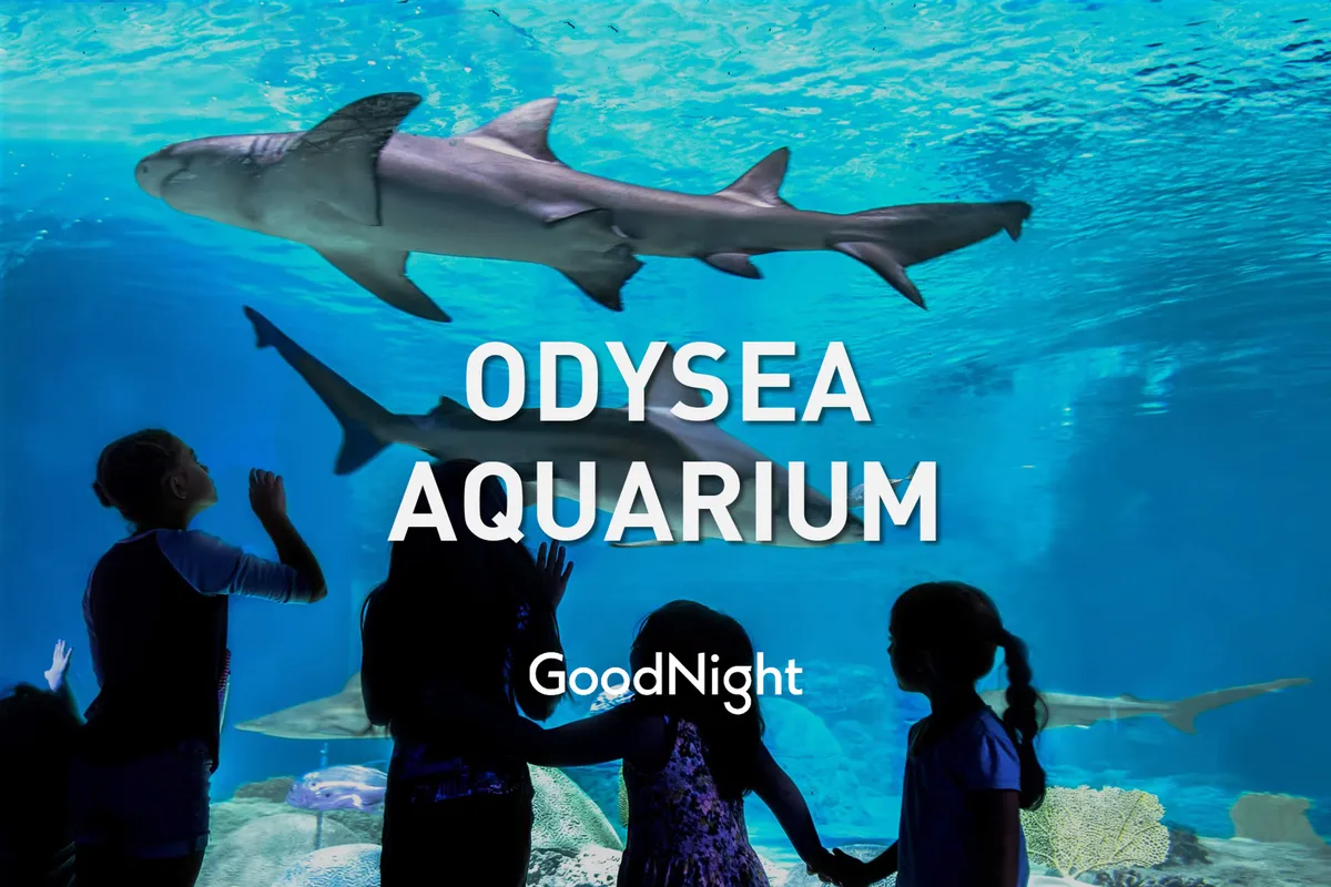 Inside an aquarium, children’s silhouettes gaze in awe at sharks swimming past. The vivid blue water and marine life evoke a sense of wonder and the excitement of shared family experiences.
