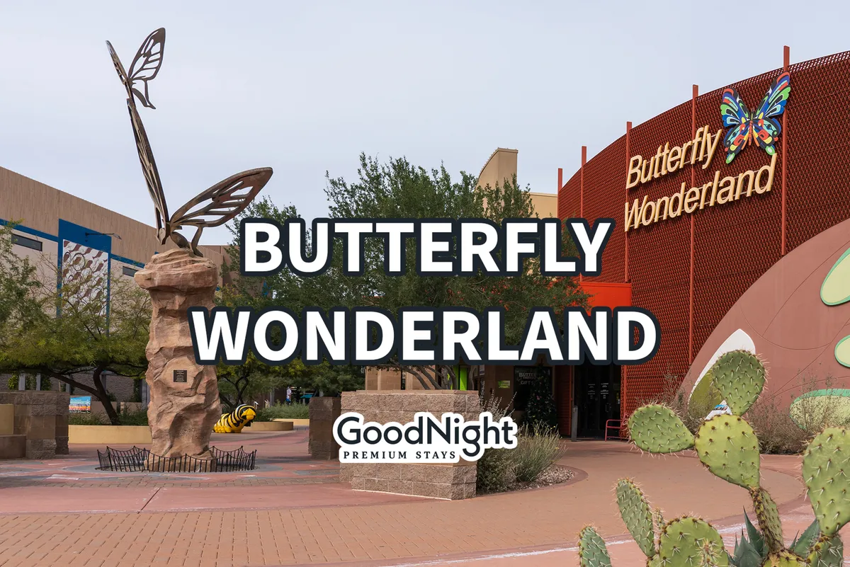 This image captures the exterior of Butterfly Wonderland, featuring a prominent butterfly sculpture, clear signage, and cacti in the foreground. The playful environment hints at family-friendly outings and educational exploration.